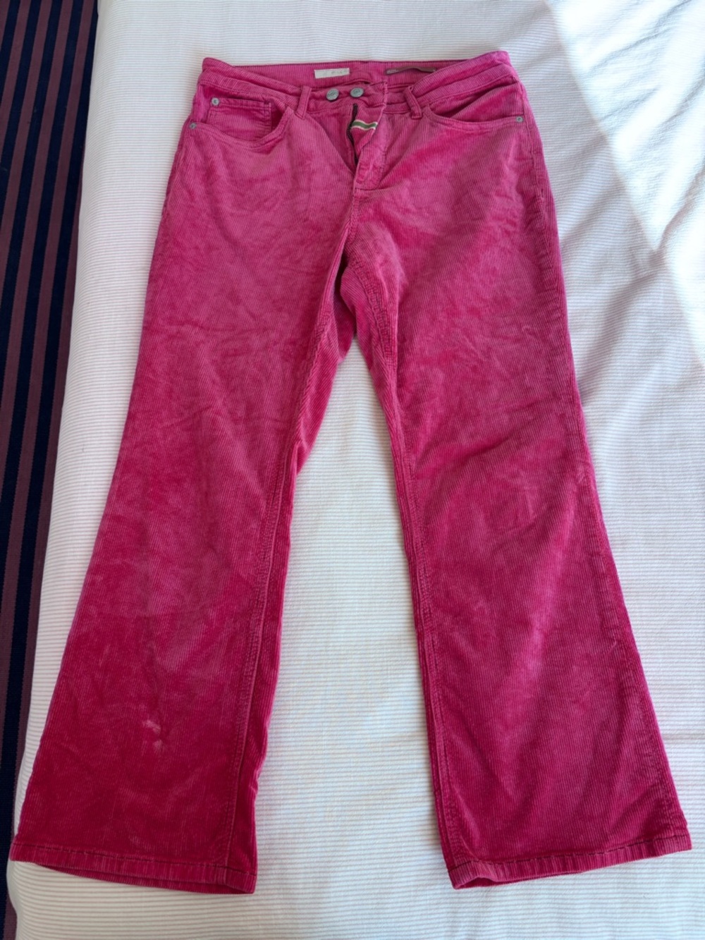 Anthropologie Pilcro cropped pants